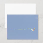 Macaw Kite (Voorkant / Achterkant)