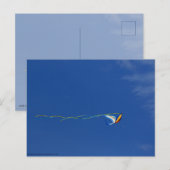 Macaw Kite Briefkaart (Voorkant / Achterkant)