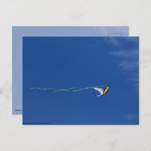 Macaw Kite Briefkaart (Voorkant / Achterkant)