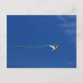 Macaw Kite Briefkaart (Voorkant)