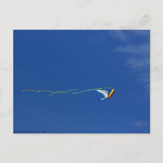 Macaw Kite Briefkaart (Voorkant)
