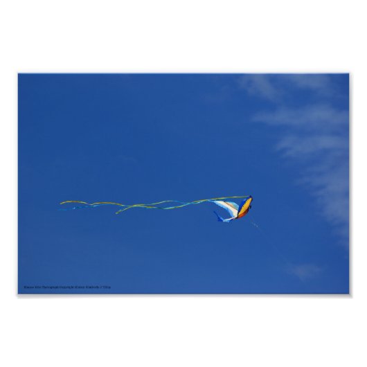 Macaw Kite Foto Afdruk (Voorkant)