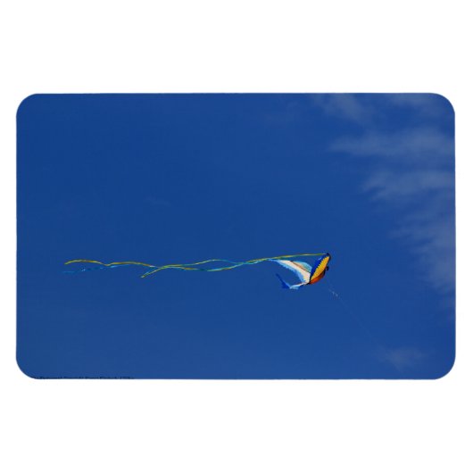Macaw Kite Magneet (Horizontaal)