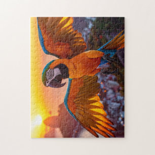 Macaw Legpuzzel