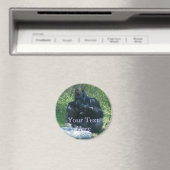 Macaw Magnet (Insitu (Vaatwasser))