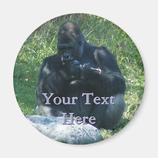 Macaw Magnet (Voorkant)