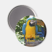 Macaw Magnet (Voorkant / Achterkant)