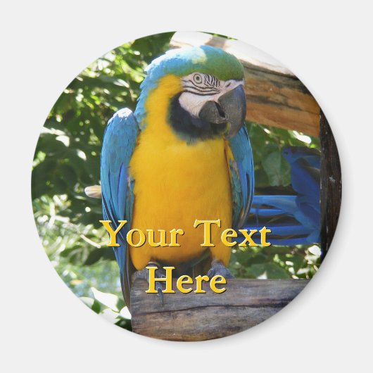 Macaw Magnet (Voorkant)