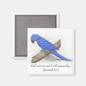 Macaw Magnet (Voorkant / Achterkant)