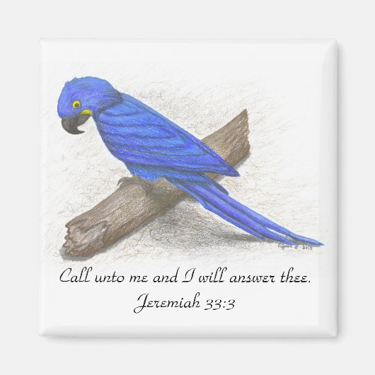 Macaw Magnet (Voorkant)