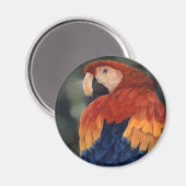 Macaw Magnet (Voorkant / Achterkant)