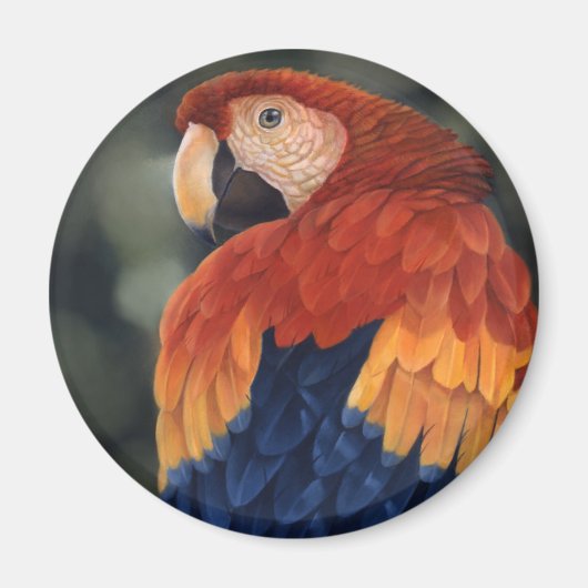 Macaw Magnet (Voorkant)