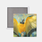Macaw Magnet (Voorkant / Achterkant)