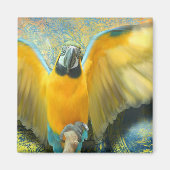 Macaw Magnet (Voorkant)