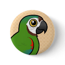 Macaw, met de kastanjevoorkant