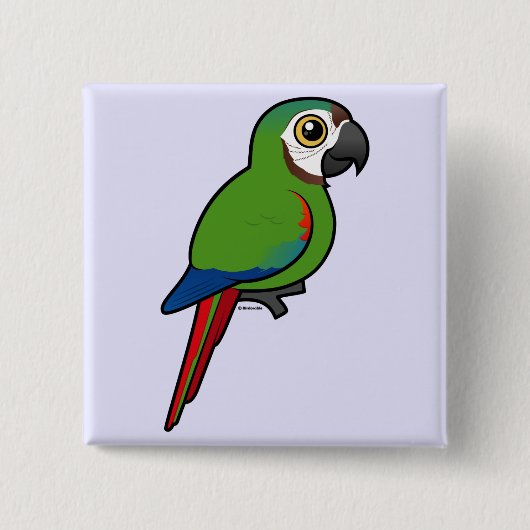 Macaw, met de kastanjevoorkant vierkante button 5,1 cm (Voorkant)