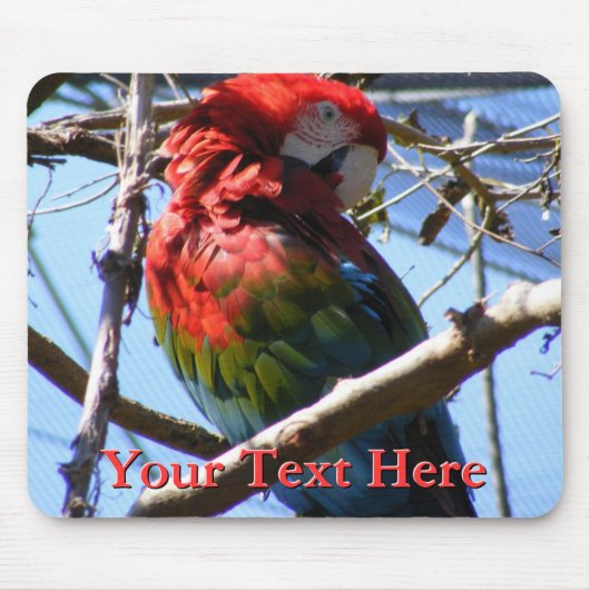 Macaw Mousepad Muismat (Voorkant)
