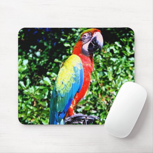 Macaw Mousepad Muismat (Met muis)