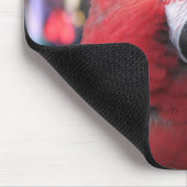 Macaw mousepad muismat (Hoek)