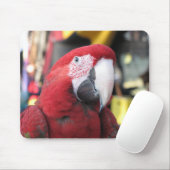 Macaw mousepad muismat (Met muis)