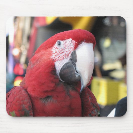 Macaw mousepad muismat (Voorkant)