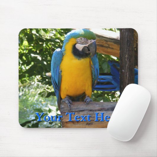 Macaw Mousepad Muismat (Met muis)