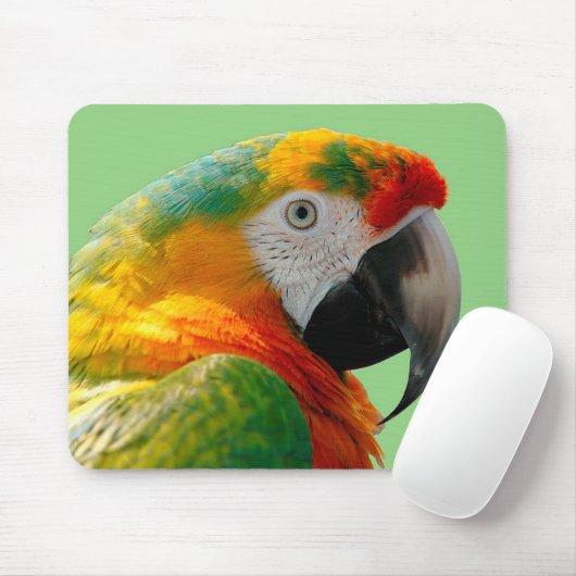 Macaw Muismat (Met muis)