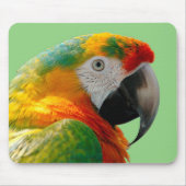 Macaw Muismat (Voorkant)
