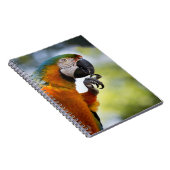 macaw notitieboek (Rechterzijde)