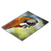 macaw notitieboek (Linkerzijde)