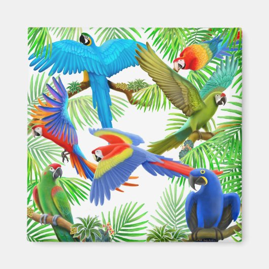 Macaw Oerwoud Magnet (Voorkant)