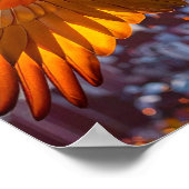 Macaw over het horizontale poster van Rio de Janei (Hoek)