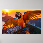 Macaw over het horizontale poster van Rio de Janei (Voorkant)