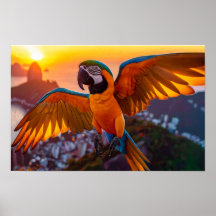 Macaw over het horizontale poster van Rio de Janei