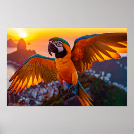Macaw over het horizontale poster van Rio de Janei