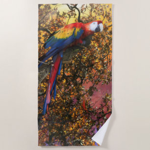 MACAW PAPEGAAI REGENWOUD UITKIJKPOST STRANDLAKEN