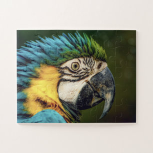 Macaw papegaai vogel dier legpuzzel