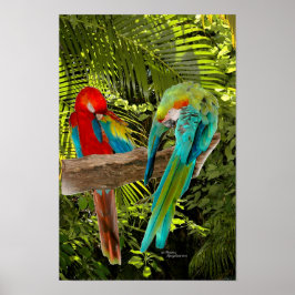 Macaw papegaaien in een tropisch bos Poster