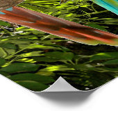 Macaw papegaaien in een tropisch bos Poster (Hoek)