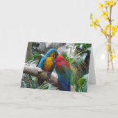 Macaw Papegaaien Vogel Dank u, opmerking Kaart (Gele Bloem)