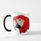 Macaw Parrot Bird Morphing Mok (Links)