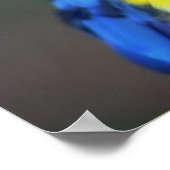 Macaw Parrot Bird Wall Poster (Hoek)