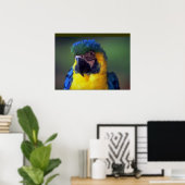Macaw Parrot Bird Wall Poster (Thuiskantoor)