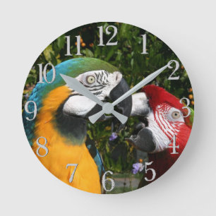 Macaw Parrot Birds Wildlife Animal Wall Clock Ronde Klok