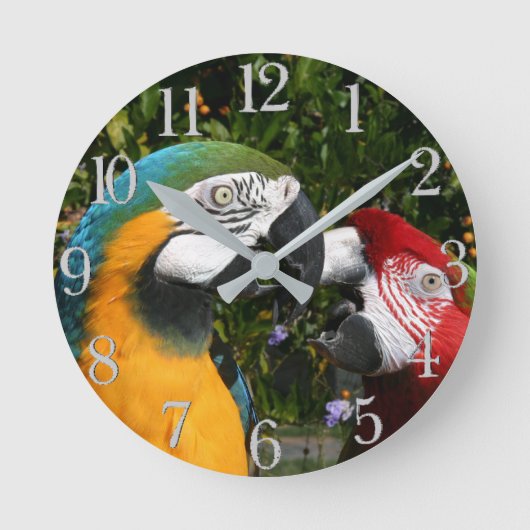 Macaw Parrot Birds Wildlife Animal Wall Clock Ronde Klok (Voorkant)