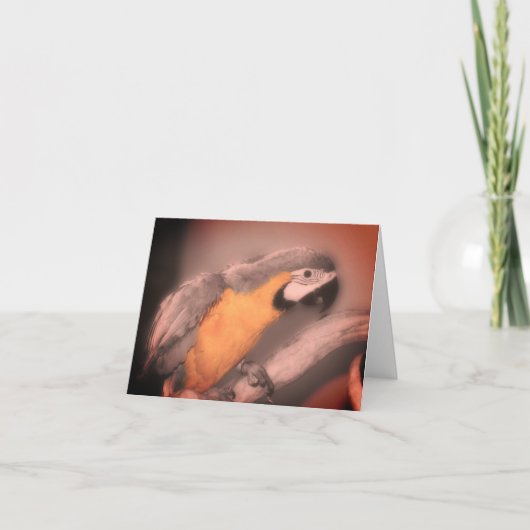 Macaw Parrot Black White, partiële kleurnotitie Ka Bedankkaart (Voorkant)