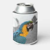 Macaw Parrot Blikjeskoeler (Blikje Achterkant)