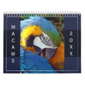 Macaw Parrot Blue Gold Scarlet Hyacinth 2026 Bird Kalender (Hoes)