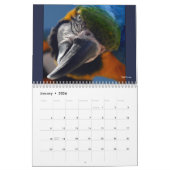 Macaw Parrot Blue Gold Scarlet Hyacinth 2026 Bird Kalender (Jan 2026)