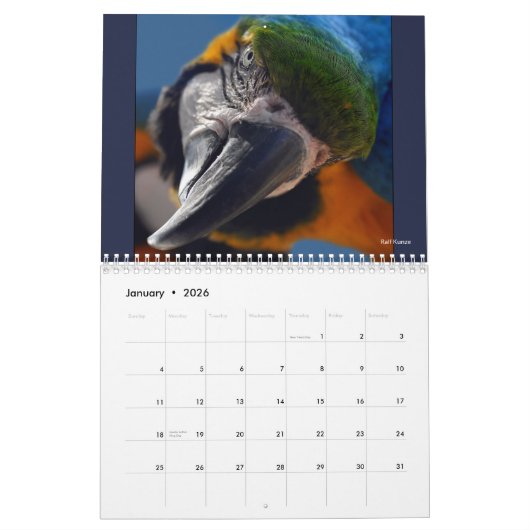 Macaw Parrot Blue Gold Scarlet Hyacinth 2026 Bird Kalender (Jan 2026)